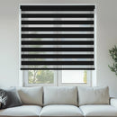 Double Vision Blinds